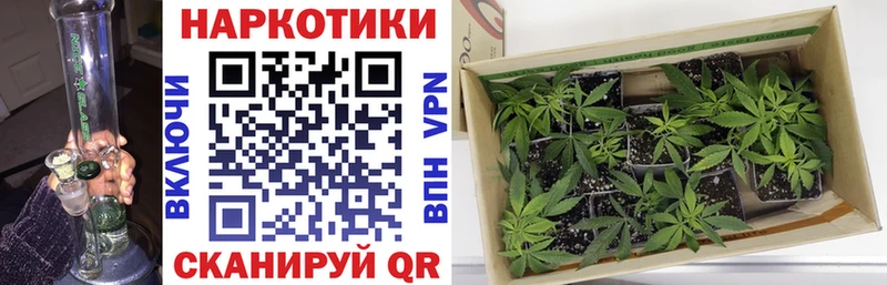 Как найти наркотики Кирово-Чепецк ГАШИШ Метадон Мефедрон Марихуана
