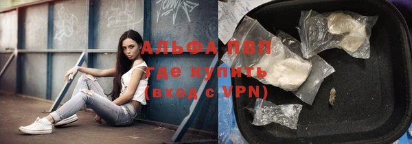 ECSTASY Богородск