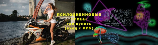 ECSTASY Богородск