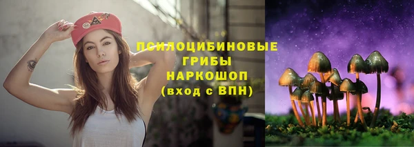 альфа пвп Богданович