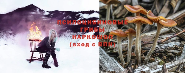 альфа пвп Богданович