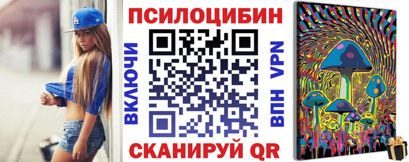 Псилоцибиновые грибы Psilocybe  Кирово-Чепецк 